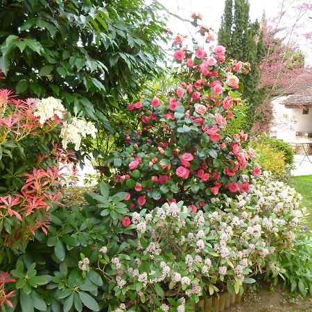 Le Reflet Des Vignes Bed & Breakfast Comblanchien Bagian luar foto